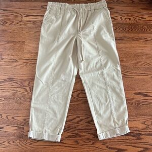 NWOT Loft Chino Pants